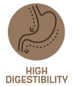 high digesty