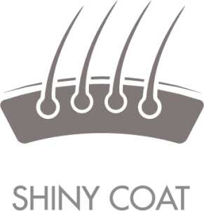 shinycoat