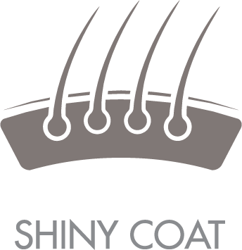 shinycoat