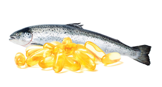 salmon oil