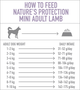 MINI-ADULT-LAMB-(DOG)